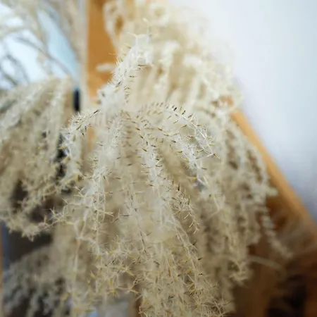 Дом отдыха Le Cocoon D'etretat *