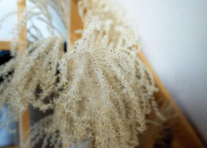 Hébergement de vacances Le Cocoon D'etretat *